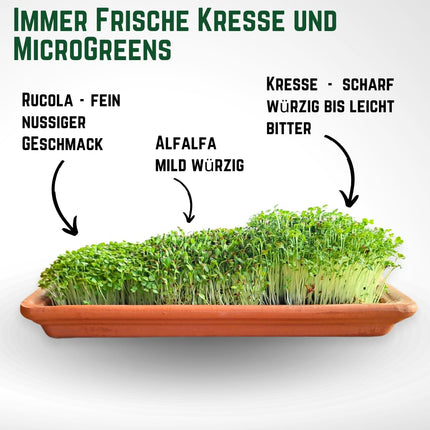 Green Mageo Family 31cm Cress Grow Kit - Growing Tray with Maxi Pack of Cress, Alfalfa and Arugula Seeds, Jute Grow Mats, Ideal as a Microgreens Grow Kit