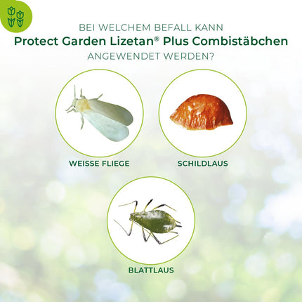 PROTECT GARDEN Lizetan Plus Combi Sticks, long-term pest control and premium fertilizer in one, 40 sticks