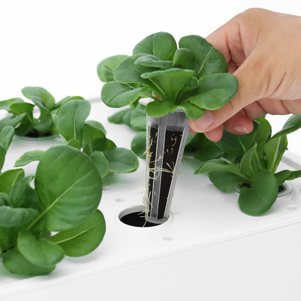 iDOO Replacement Grow Sponges (60 pieces), Replacement Biological Peat Sponges for ID-IG301, ID-IG302, ID-IG302S, ID-IG303, ID-IG305, ID-IG306 and ID-01 Indoor Hydroponic Garden