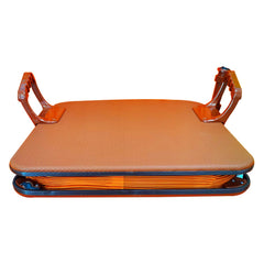 SLD electric modern design for seniors or disabled lift cushion