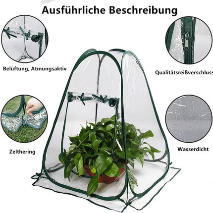 Morricho Pop Up Greenhouse Small Wintering Tent for Plants Frost Protection, Indoor Greenhouse, Mini Greenhouse, Plant Tent for Wintering (70 x 70 x 80 cm)