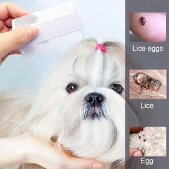 MOLZINY 20 pieces anti-lice hair tie treatment against head lice anti-lice hair tie against head lice anti-lice against head lice lice prevention hair tie rubber band with extra fine tooth comb