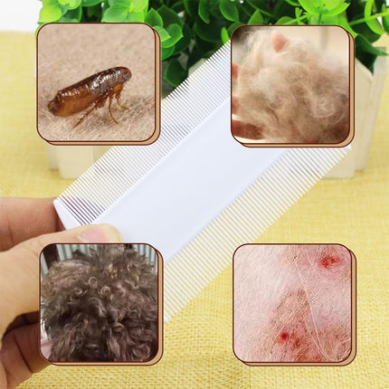 Lice Comb, 6 Pcs Plastic Double-Sided Nits Comb Lice Fine-Toothed Head Lice Comb Self-Cleaning Flea Comb for Pets Flea Comb Cat Scalp Comb for Children Pets and Adults (White)