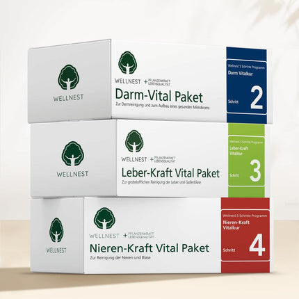Wellnest Kidney Power Detox Treatment Package (detoxification treatment package for 30 days of kidney cleansing according to Hulda Clark) - 100% plant-based - easy to use, including magazine