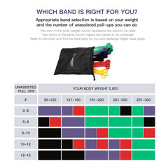 TOMSHOO Resistance Bands Set, Resistance Bands Fitness Bands Pull-Up Band Training Band with Door Anchor, Storage Bag, Multiple Resistance Levels, for Strength Training, Stretching