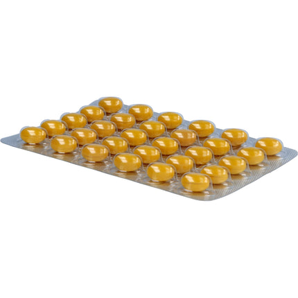 ALSIFEMIN Royal Jelly + Vit.E with Ginseng Capsules 120 pcs