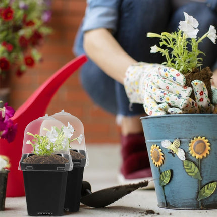 Mini Flower Pot Growing Pots With Dome: 10 Pieces Indoor Greenhouse Growing Set Dome Plants Plant Pots Windowsill Greenhouse Plastic Growing Trays Plant Pot for Plants