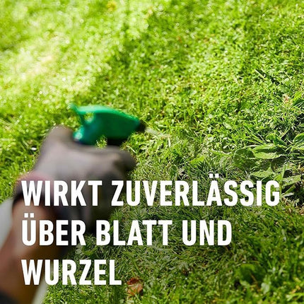 COMPO Lawn Weed Killer Banvel Quattro, Control of difficult-to-control weeds in lawns, concentrate, 400 ml (400 m²)