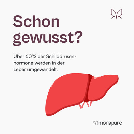 monapure the Transformer Thyroid &amp; Liver Complex with Milk Thistle, Artichoke, Choline, Glutathione, Selenium, NAC + other amino acids - 60 capsules high dosage &amp; vegan