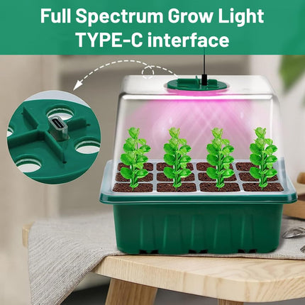 HIULLEN 5 PCS Indoor Greenhouse Propagator with Plant Lamp, Mini Greenhouse Propagation Set with Timer Control, 12 Hole Seedling Starter Trays Greenhouse Propagation Tray