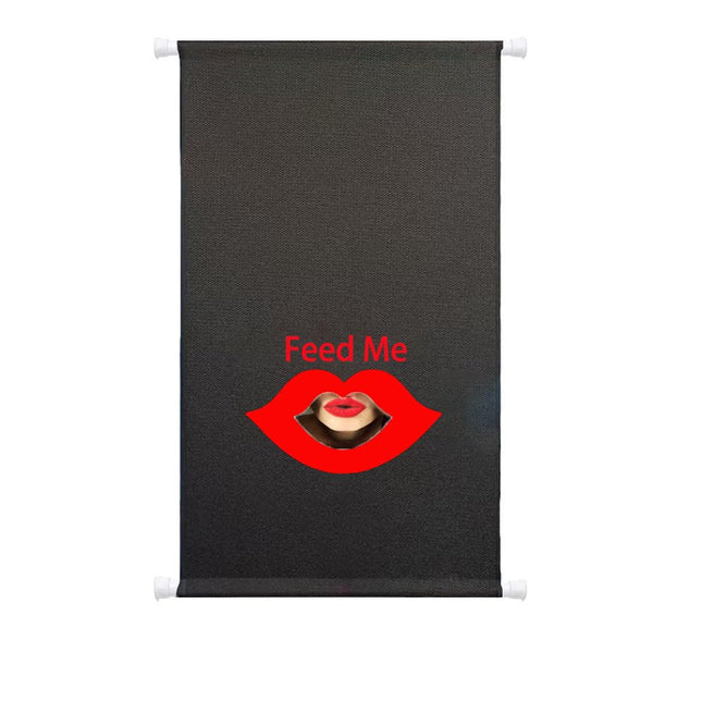 Sex furniture with door openings BDSM furniture door curtain love swings sex partition room divider screen sex games for couples
