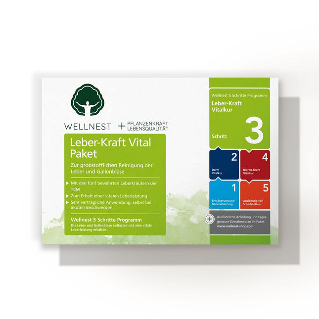Wellnest Liver Power Detox Treatment Package (detoxification treatment package for 40 days of liver cleansing according to TCM) - 100% herbal - easy to use - very effective for liver and sleep disorders