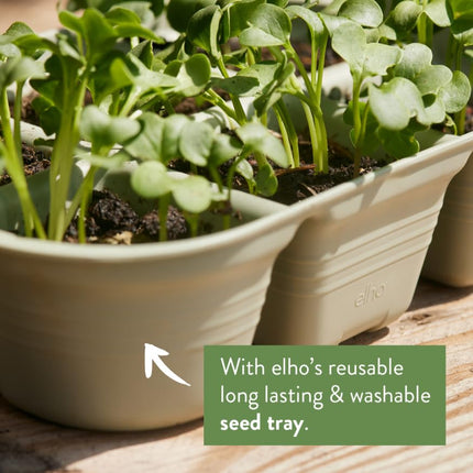 elho Green Basics Grow Tray Set - Grow Box for Plants - Seedling Tray - 100% Recycled Plastic - Green/Leaf Green