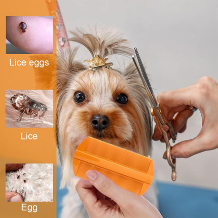 MOLZINY 40 pieces anti-lice hair tie with extra fine tooth comb against head lice. Natural and effective helps to prevent lice. Hair tie rubber band.