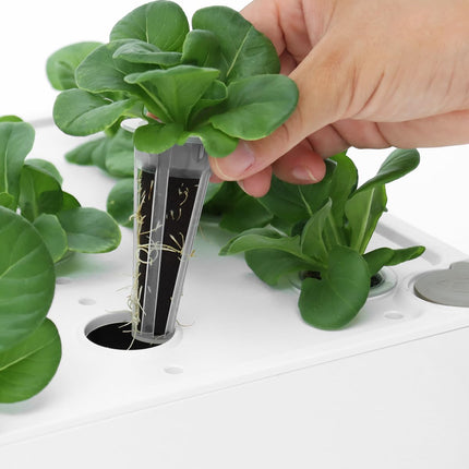 iDOO Replacement Hydroponic Growing Accessories, 12 Grow Sponges, 12 Basket Sets, 12 Label Cards, 12 Domes and A &amp; B Solid Nutrient for Hydroponic Growing System