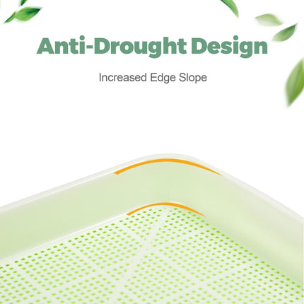 T TAKONE Set of 2 cress growing trays, 32 cm, large sprouting trays. Ideal sprouting box for sprouting seeds. Growing starter set for sprouts, microgreens, and watercress.