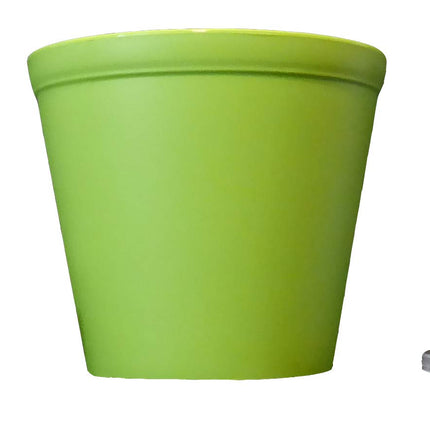 Seedeo® Jacaranda Grow Kit (Jacaranda mimosafolia)