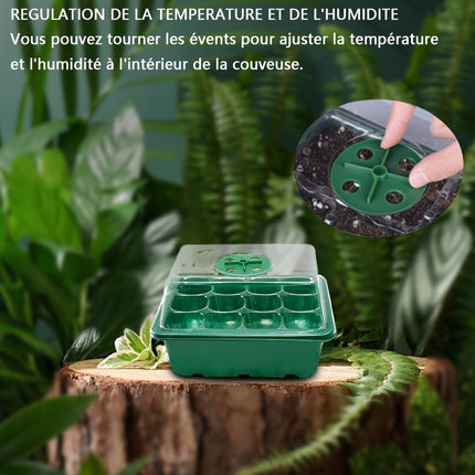 Meijunter Indoor Greenhouse Propagator 6pcs 72 Cells Mini Plant Greenhouse Indoor Greenhouse Seedling Hole Breathable Seed Grower Transparent Cover Nursery Box