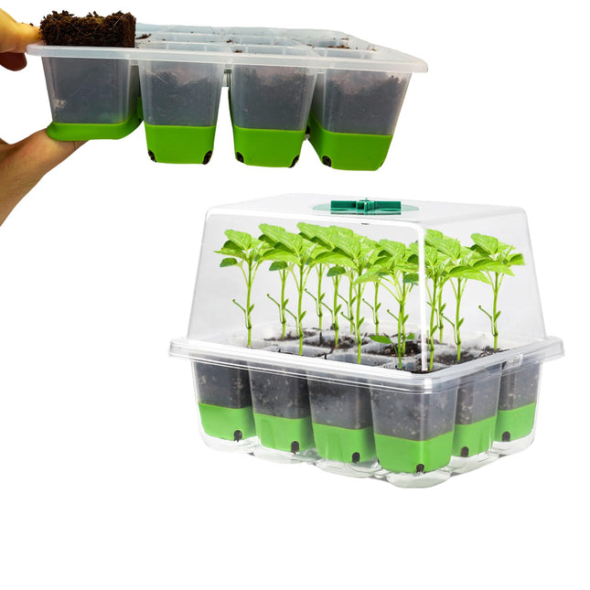 JIUJITSAW 12 Cells Mini Greenhouse Grow Kit, 1 Grow Box Indoor Greenhouse with Silicone Cells, Ventilation Hood for Plant Cultivation (Green)