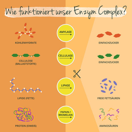Enzyme Complex | Bromelain - Papain - Amylase - Lipase - Cellulase | Enteric-coated DRCaps® | Natural digestive enzymes | Laboratory-tested | No additives | German production Vegavero®