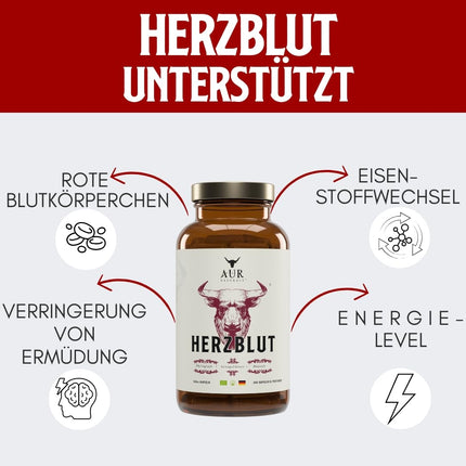 HERZBLUT (90 Capsules) - Powerful synergy for athletes from Beefheart &amp; Beefliver; for energy; performance; blood formation; iron metabolism; 100% German, natural &amp; organic