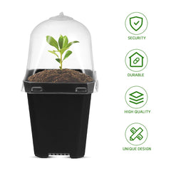 Mini Flower Pot Growing Pots With Dome: 10 Pieces Indoor Greenhouse Growing Set Dome Plants Plant Pots Windowsill Greenhouse Plastic Growing Trays Plant Pot for Plants