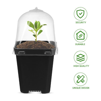 Mini Flower Pot Growing Pots With Dome: 10 Pieces Indoor Greenhouse Growing Set Dome Plants Plant Pots Windowsill Greenhouse Plastic Growing Trays Plant Pot for Plants