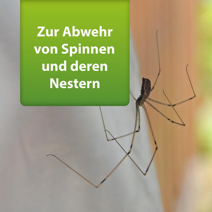 ARDAP Repell Spider Spray 400ml - Spider Repellent - Anti-spider spray - Spider repellent - Spray against spiders - Agent against spiders - Anti-spider spray outside - Works quickly &amp; effectively (PT19)