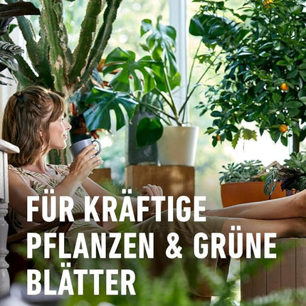 COMPO Green Plant Fertilizer and Palm Fertilizer – Special liquid fertilizer for all indoor, balcony, and patio plants – 1 liter