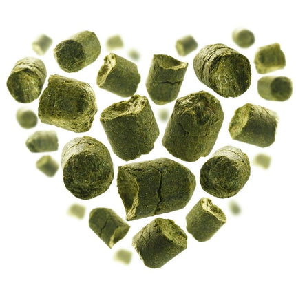 Brewferm 100g Simcoe hop pellets for brewing beer, alpha acid content 13.4% - Best aroma hops with great citrus notes - complex tropical fruitiness - home brewer