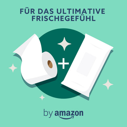 by Amazon Gentle Moist Toilet Paper with Aloe Vera, Flushable, 240 Count (6 Packs of 40 Sheets Each) (Formerly Presto Brand!)
