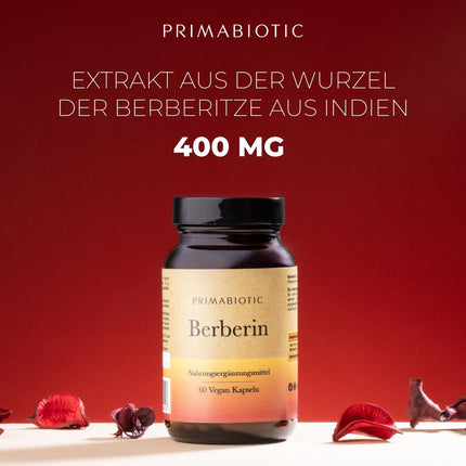 Primabiotic BERBERINE 400MG - 60 VEGAN Capsules | Berberis Vulgaris Extract | Natural Metabolism and Liver Health Support | Maximum Absorption | Liver Digestion, Bowel Function