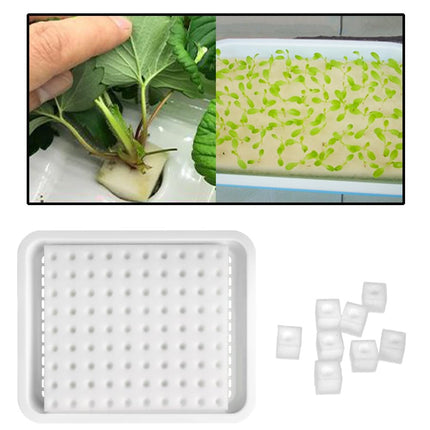 Zasvec Hydroponic Sponge 200 Pieces Greenhouse Garden Tool Seedling Sponges Hydroponic Sponges Hydroponic Grow Kit Hydroponic Sponge for Plant Growth 25 * 25 * 25mm