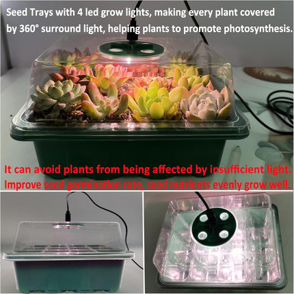 VDYXEW Mini Greenhouse with Light, Growing Greenhouse, Sun-like Plant Lights with Full Spectrum, Growing Kit Indoor Greenhouse Grow Box Plant Lamp Growing (2 Pack LED)
