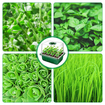 LUFEIS Indoor Greenhouse Propagator, 5 Pack Indoor Greenhouse with Light, 60 Cells Mini Greenhouse Propagation Set, Growing Station for Plants with Timing Controller and Seed Germination