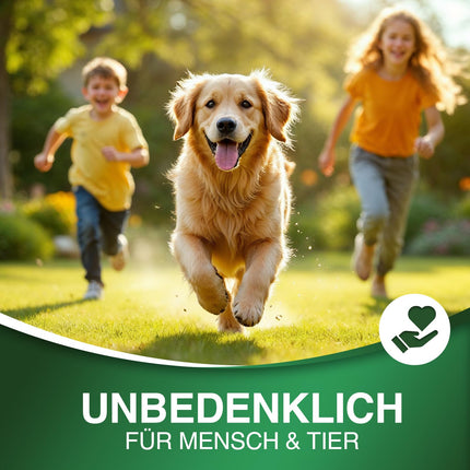 DÜNGEMEISTER lawn fertilizer for your lushest dream lawn – healthy, dense, and lush green lawn immediately with revolutionary AI formula – long-term NPK/Organic spring/summer (5 kg)