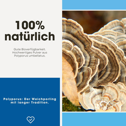Fair &amp; Pure® - Polyporus 650mg - 120 Capsules - Polyporus umbellatus - vegan - without magnesium stearate