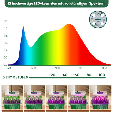 AONYIYI 5 pieces 60 cells cultivation greenhouse small cultivation box indoor greenhouse with light cultivation set with timer cultivation set plants for outdoor indoor