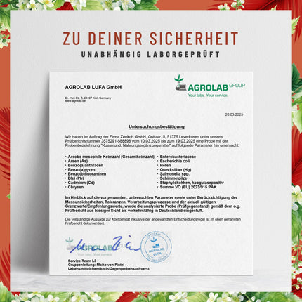 L-Lysine 1000 mg high-dose - L-Lysine complex with lemon balm and selenium - High-dose L-Lysine capsules - Naturtreu Kussmund vegan &amp; laboratory-tested