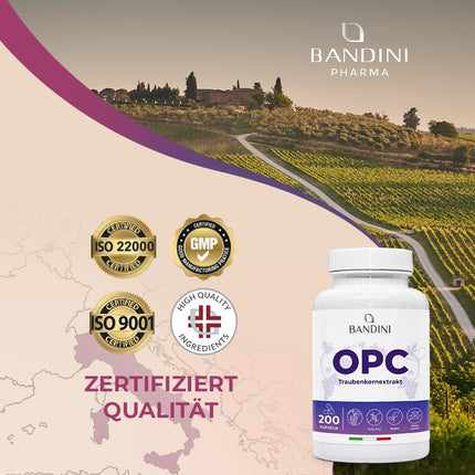 Bandini® Grape Seed Extract 200 Capsules for 3 Months | Highly Dosed with 95% OPC per Capsule | Highest Content According to HPLC | From Italian Grapes | 1052mg Extract with 999.4mg OPC + 24mg Vitamin C