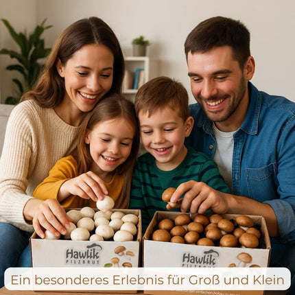 Hawlik Mushroom Spawn Grow Your Own Mushrooms – Stone Mushroom Growing Kit – Growing Mushrooms at Home with Ease – Small Complete Kit for Beginners/as a Gift for Children and Gardening Enthusiasts