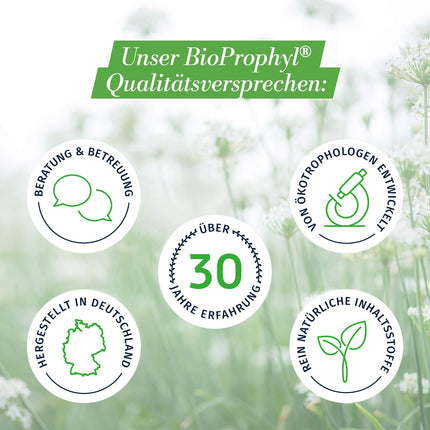 BioProphyl® Macro-Immune - 500 mg Beta Glucan Yestimun® with Vitamin C and Zinc to Support the Immune System - 60 Capsules for 1-2 Months