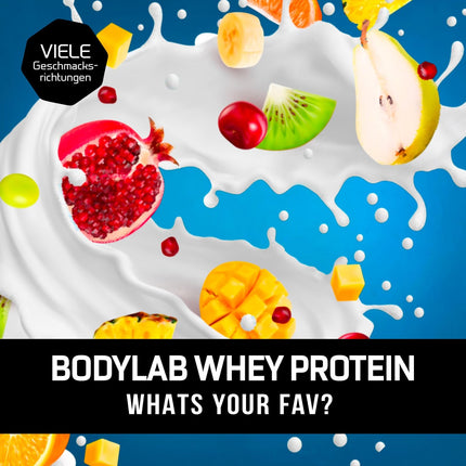 Bodylab24 Whey Protein Powder, Vanilla, 2kg