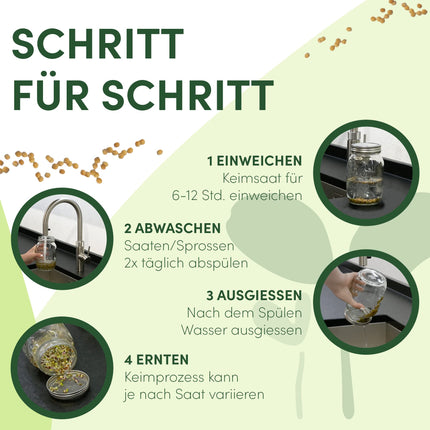 Green SEEDS Sprouting Jar, Set of 2, 1000ml, with High-Quality Stainless Steel Mesh Lid, Stand + FREE Sprouting ABC [Print Version]