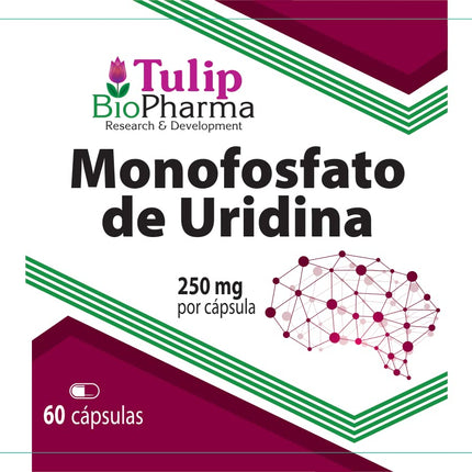 Uridine Monophosphate 250mg 60 Capsules, Laboratory Tested, Nootropic