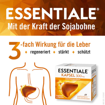 ESSENTIALE® Capsules 300 mg for liver diseases | 90 capsules | herbal medicinal product | for the improvement of symptoms of liver damage caused by poor diet or liver-damaging substances