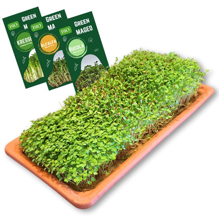Green Mageo Family 31cm Cress Grow Kit - Growing Tray with Maxi Pack of Cress, Alfalfa and Arugula Seeds, Jute Grow Mats, Ideal as a Microgreens Grow Kit