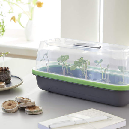 Romberg 16294179 BoQube Greenhouse S anthracite-green (Indoor Greenhouses)