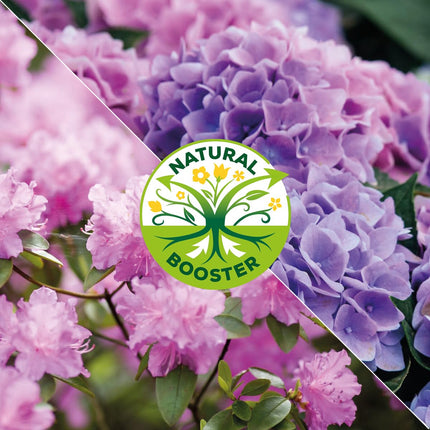 Solabiol Rhododendron &amp; Hydrangea Fertilizer, special fertilizer with immediate and long-term effect for rhododendrons, hydrangeas, and other bog plants, 1.5 kg