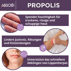Absolei Propolis Ointment, Natural 30% Propolis Ointment for Itchy, Dry, and Cracked Skin, 40 ml